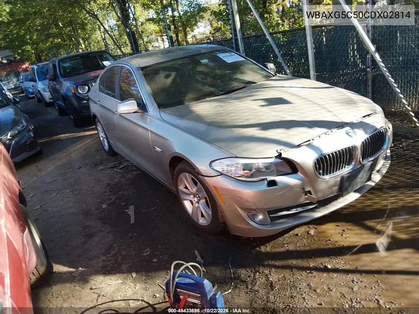 BMW 5ER 2012, VIN WBAXG5C50CDX02814