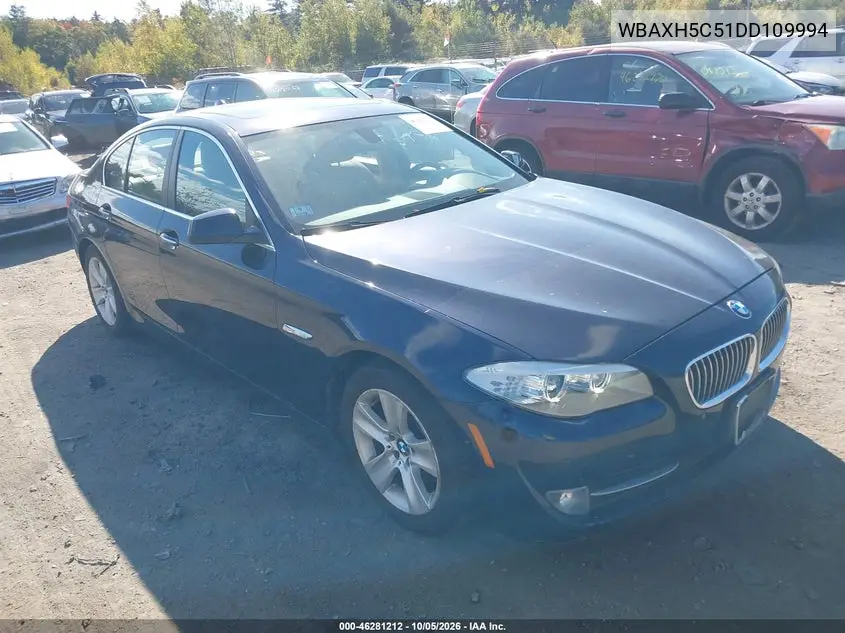 BMW 5ER 2013, VIN WBAXH5C51DD109994