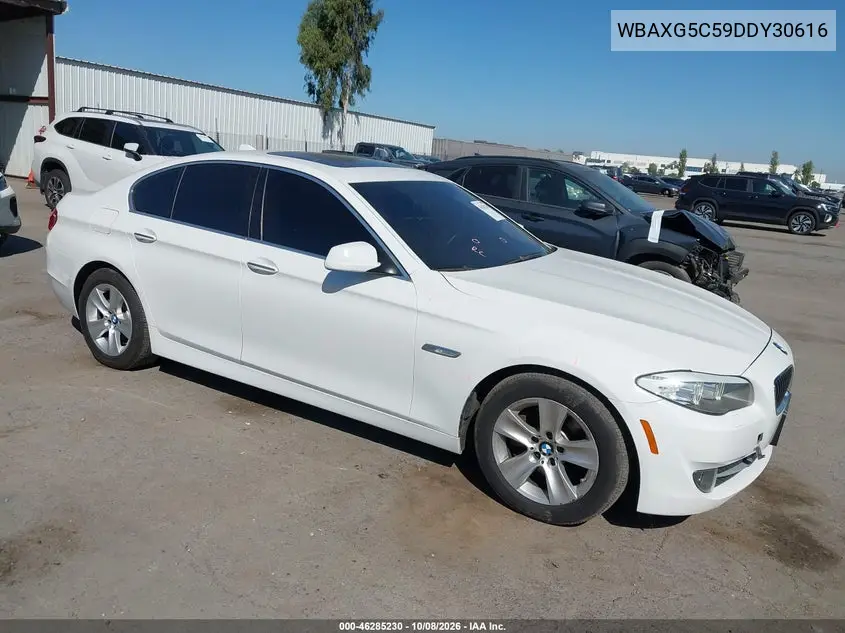 BMW 5ER 2013, VIN WBAXG5C59DDY30616