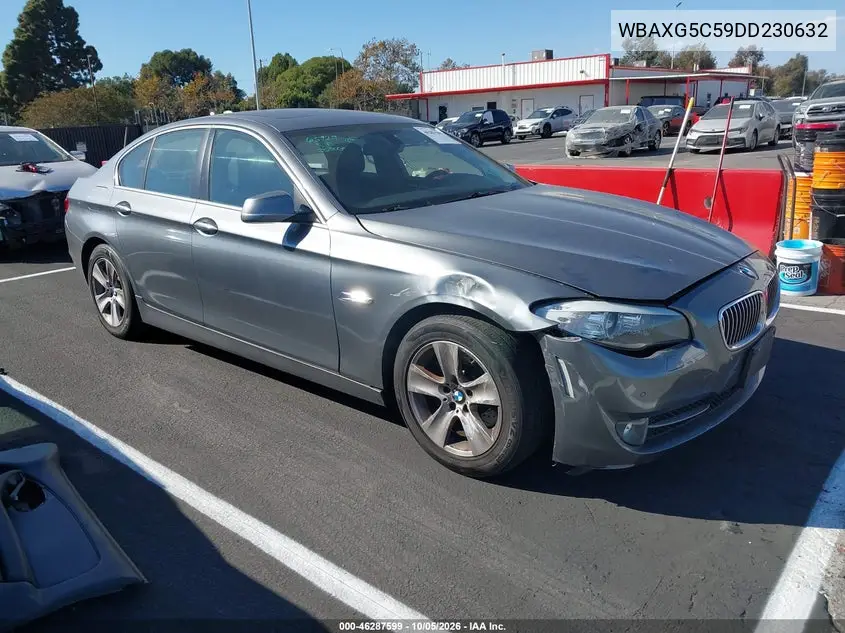 BMW 5ER 2013, VIN WBAXG5C59DD230632