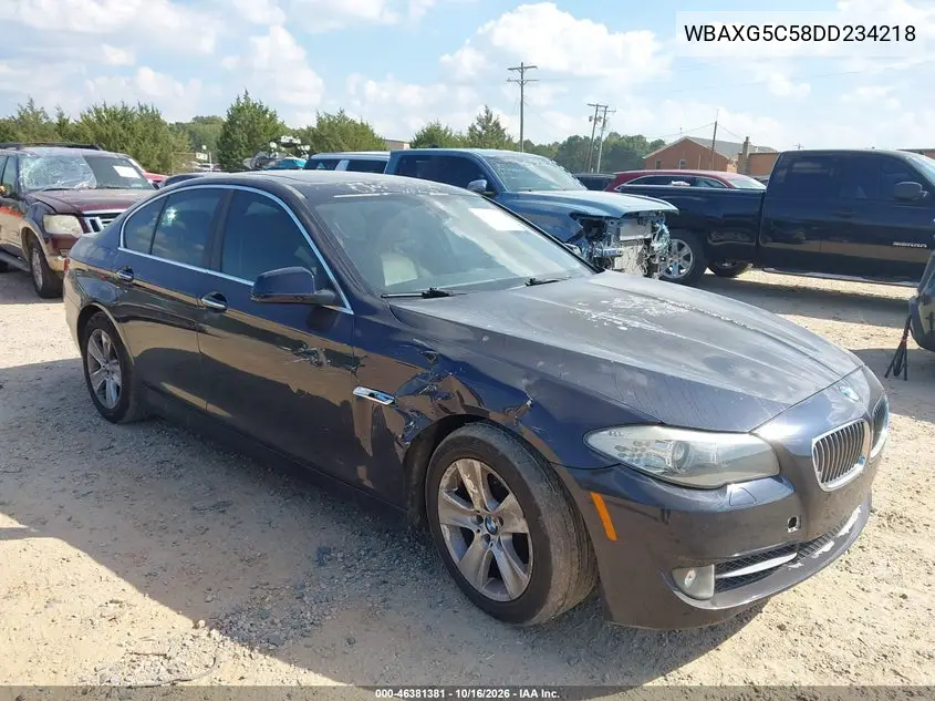BMW 5ER 2013, VIN WBAXG5C58DD234218
