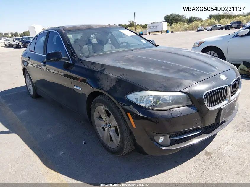 BMW 5ER 2013, VIN WBAXG5C54DD231137