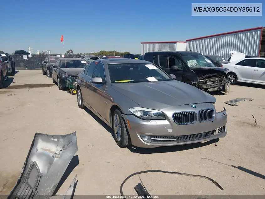 BMW 5ER 2013, VIN WBAXG5C54DDY35612