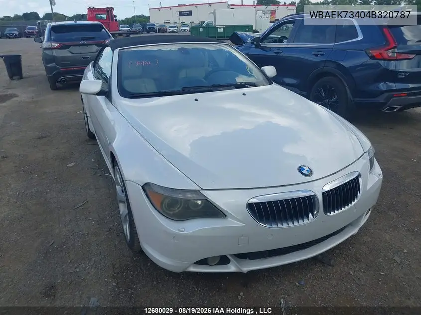 BMW 6ER 2004, VIN WBAEK73404B320787
