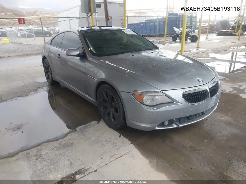 BMW 6ER 2005, VIN WBAEH73405B193118