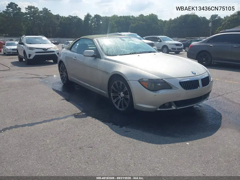 BMW 6ER 2006, VIN WBAEK13436CN75105