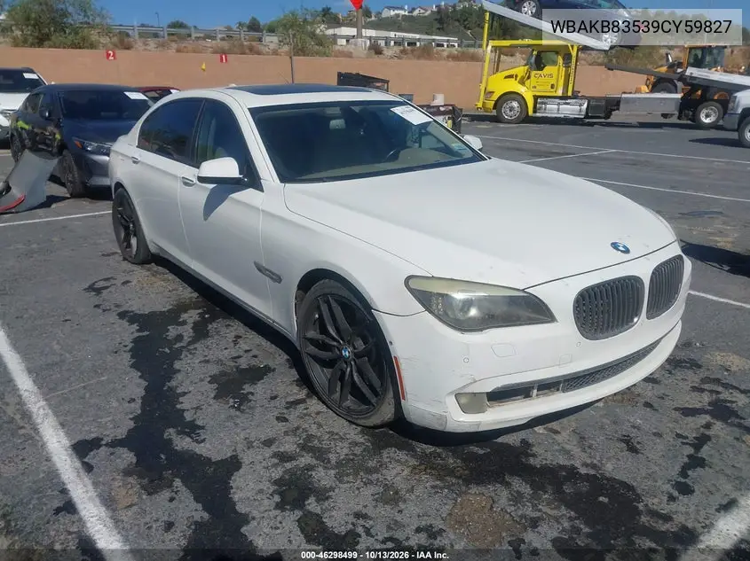 BMW 7ER 2009, VIN WBAKB83539CY59827