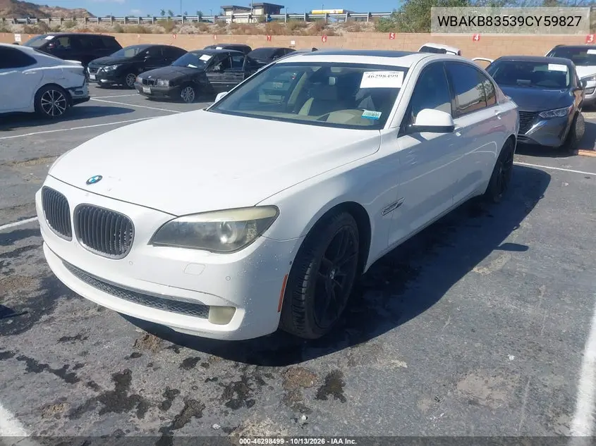 2009 BMW 7ER VIN WBAKB83539CY59827 — фото 2