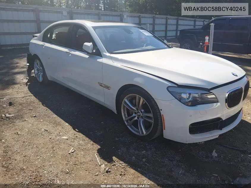 BMW 7ER 2011, VIN WBAKB0C58BCY40245