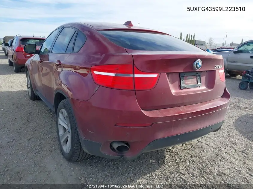 2009 BMW X6 VIN 5UXFG43599L223510 — фото 3