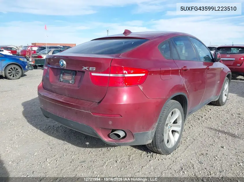 2009 BMW X6 VIN 5UXFG43599L223510 — фото 4