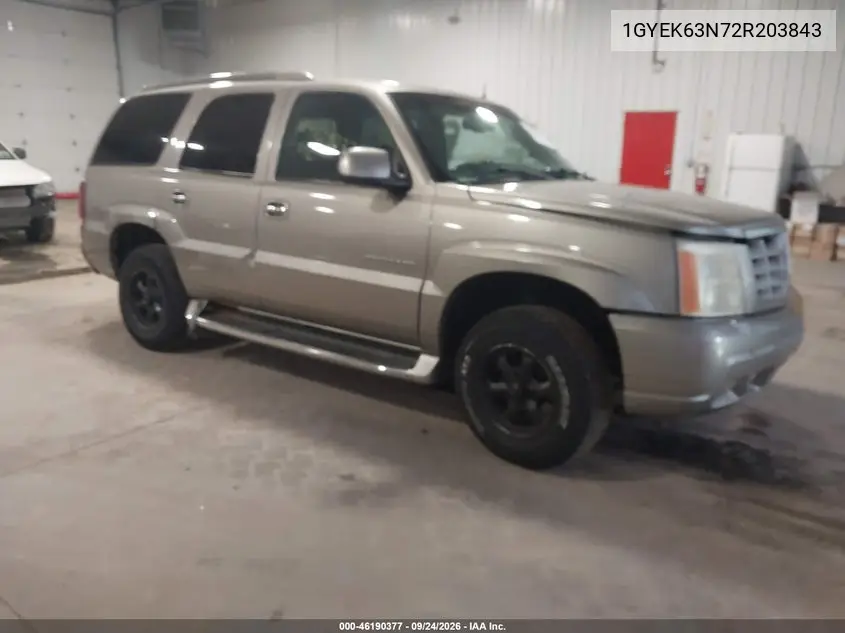 CADILLAC ESCALADE 2002, VIN 1GYEK63N72R203843