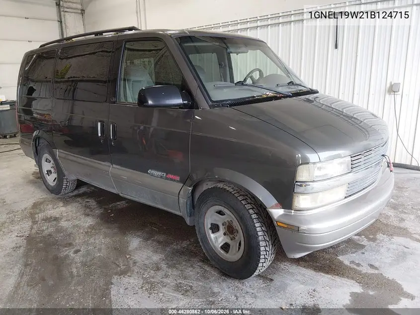 CHEVROLET ASTRO 2001, VIN 1GNEL19W21B124715
