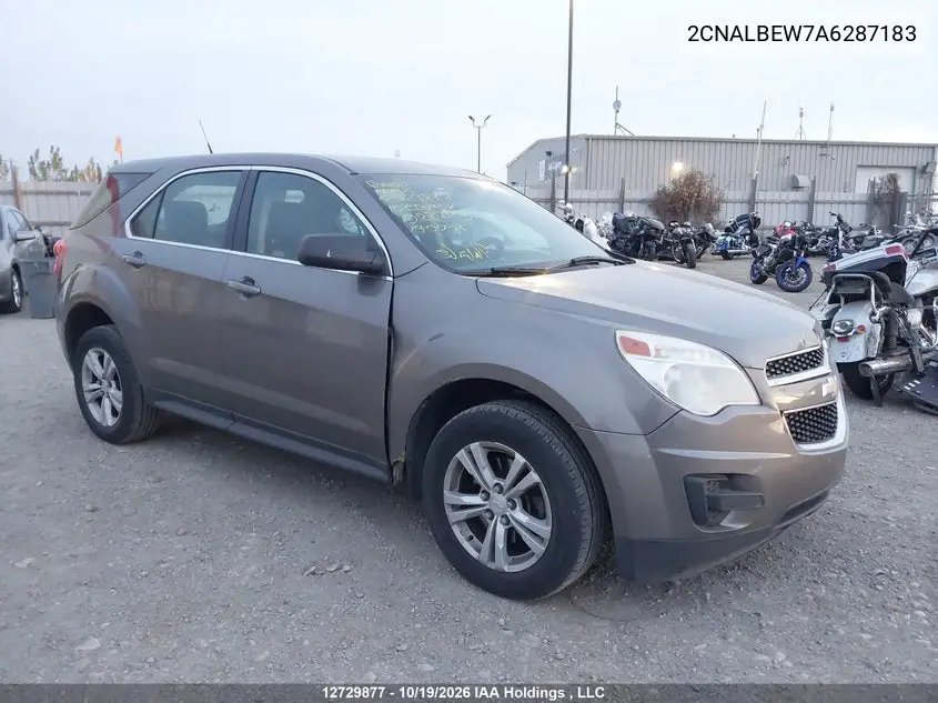 CHEVROLET EQUINOX 2010, VIN 2CNALBEW7A6287183