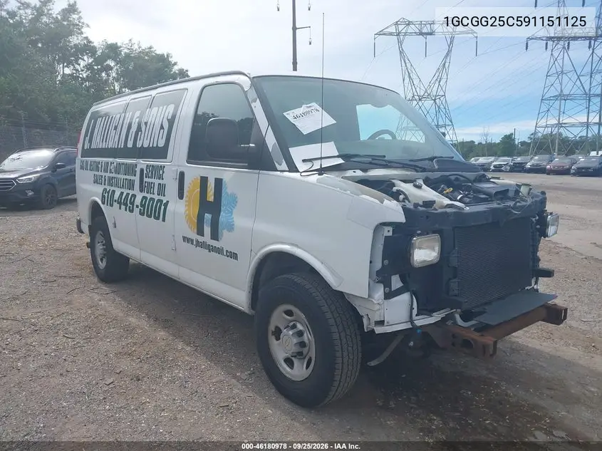 CHEVROLET EXPRESS 2009, VIN 1GCGG25C591151125