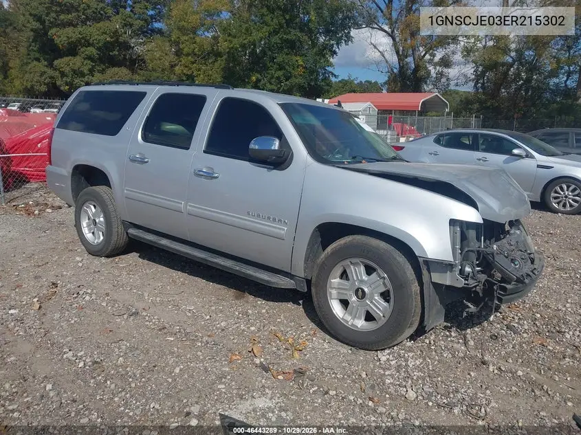 CHEVROLET EXPRESS 2014, VIN 1GNSCJE03ER215302