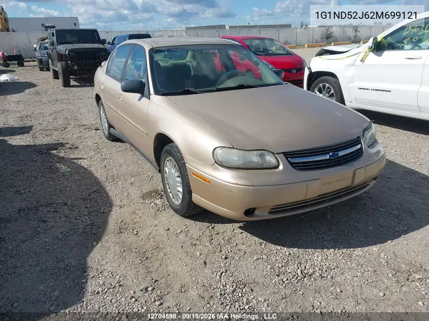 CHEVROLET MALIBU 2002, VIN 1G1ND52J62M699121