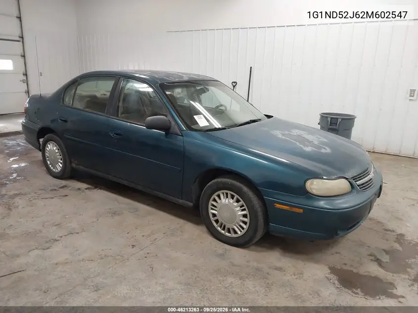 CHEVROLET MALIBU 2002, VIN 1G1ND52J62M602547