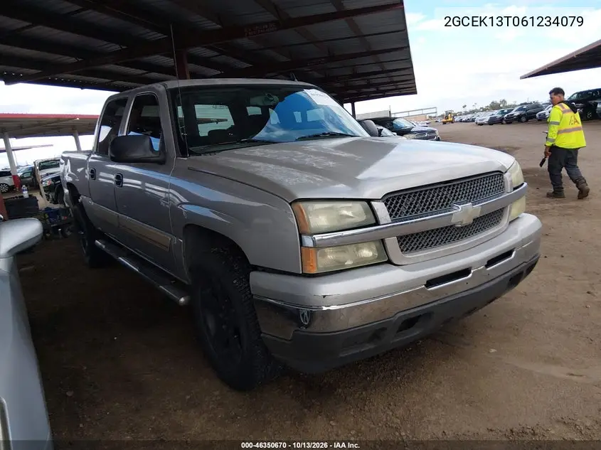 CHEVROLET SILVERADO 2006, VIN 2GCEK13T061234079