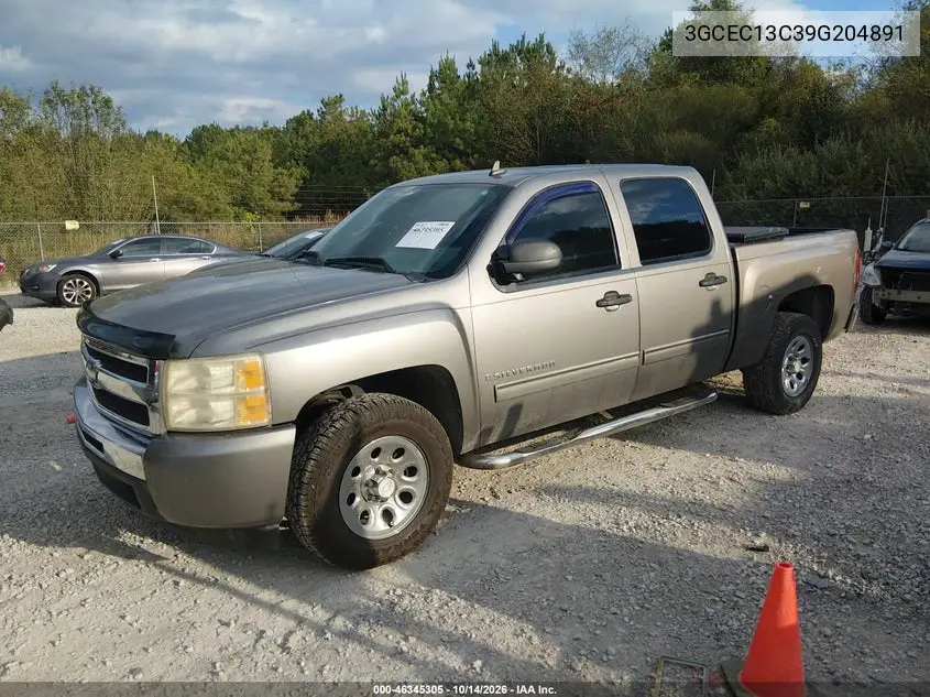 2009 CHEVROLET SILVERADO VIN 3GCEC13C39G204891 — фото 2