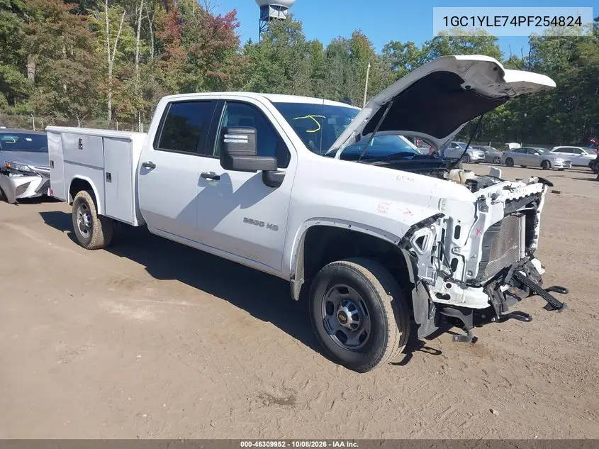 CHEVROLET SILVERADO 2023, VIN 1GC1YLE74PF254824