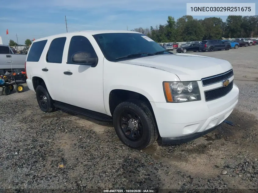 CHEVROLET TAHOE 2009, VIN 1GNEC03029R251675