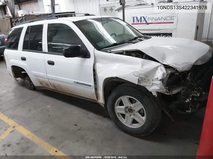 CHEVROLET TRAILBLAZER 2002, VIN 1GNDS13S422341978