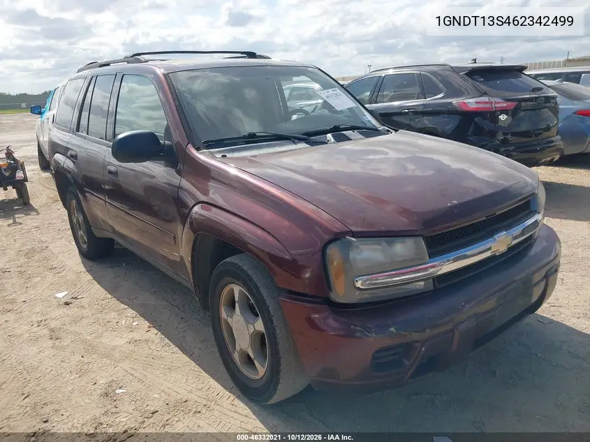 CHEVROLET TRAILBLAZER 2006, VIN 1GNDT13S462342499