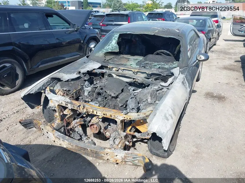 2012 DODGE CHALLENGER VIN 2C3CDYBT8CH229554 — фото 6