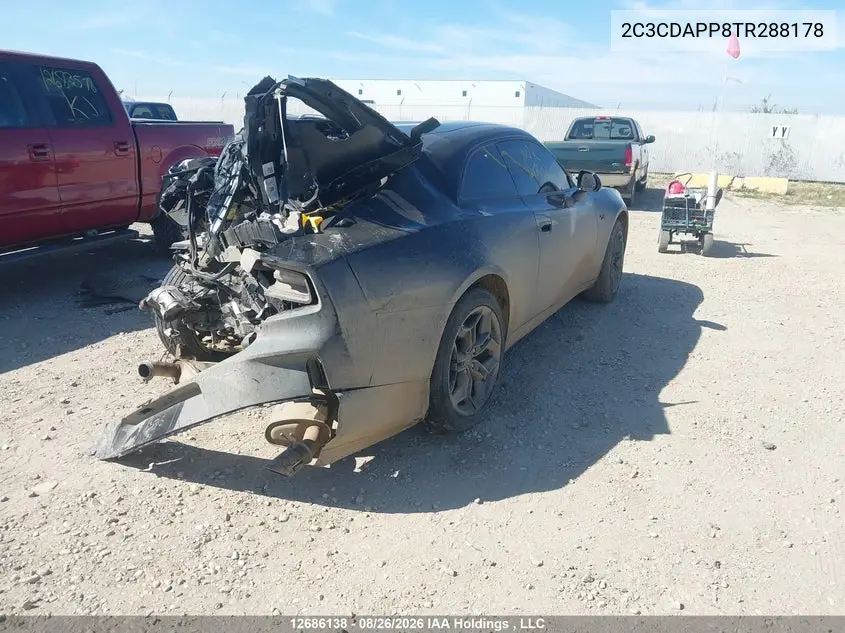 2026 DODGE CHARGER VIN 2C3CDAPP8TR288178 — фото 4