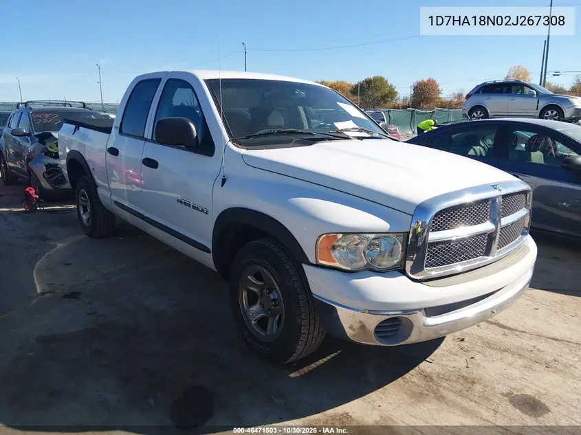 DODGE RAM 2002, VIN 1D7HA18N02J267308