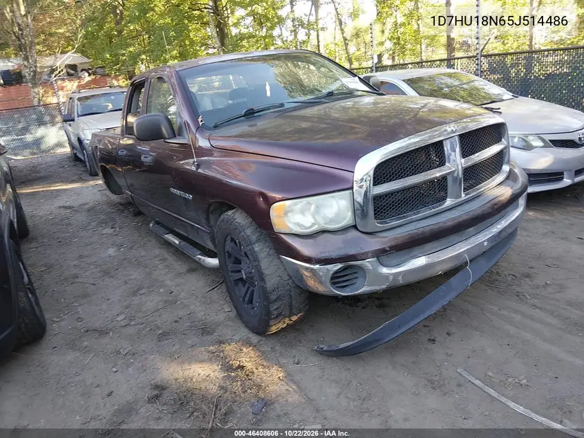 DODGE RAM 2005, VIN 1D7HU18N65J514486