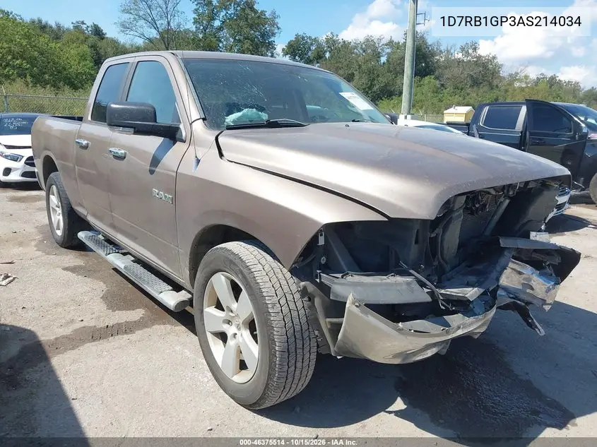 DODGE RAM 2010, VIN 1D7RB1GP3AS214034
