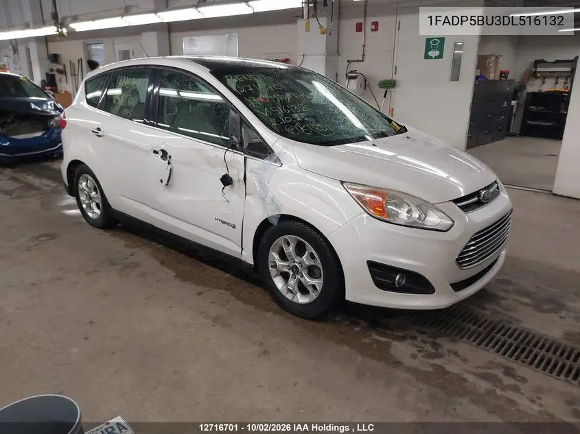 FORD C-MAX 2013, VIN 1FADP5BU3DL516132