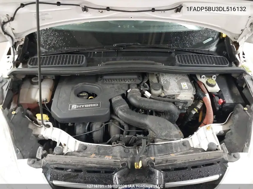 2013 FORD C-MAX VIN 1FADP5BU3DL516132 — фото 10