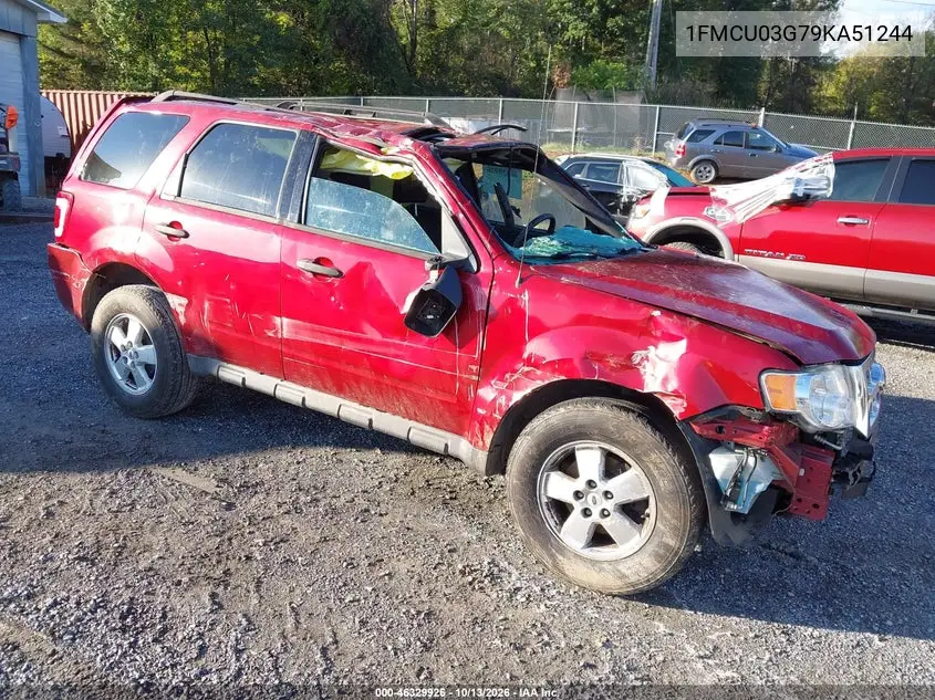 FORD ESCAPE 2009, VIN 1FMCU03G79KA51244