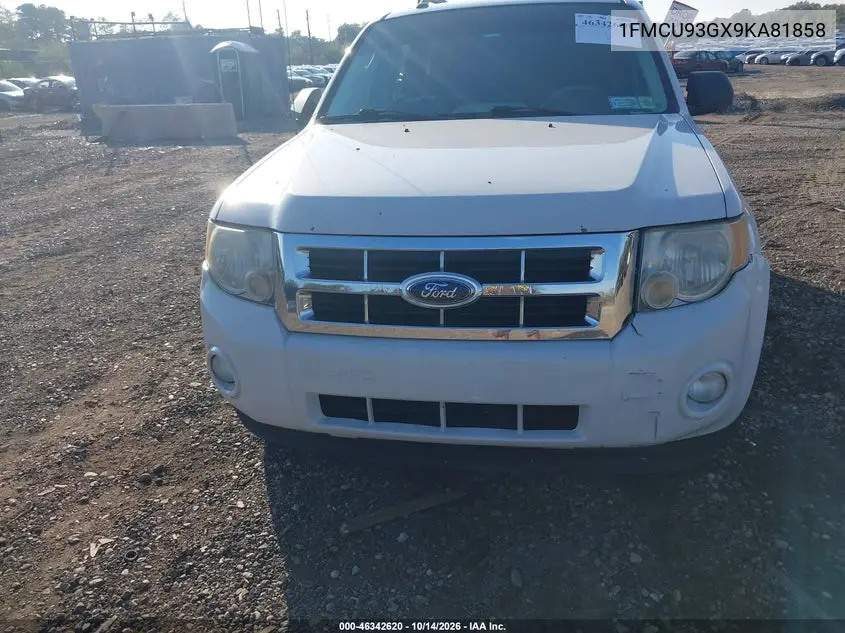 2009 FORD ESCAPE VIN 1FMCU93GX9KA81858 — фото 12