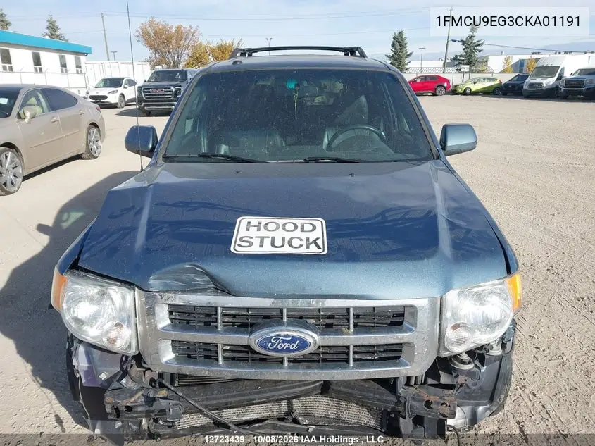 2012 FORD ESCAPE VIN 1FMCU9EG3CKA01191 — фото 10