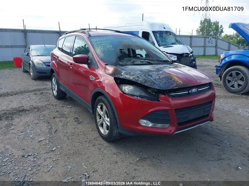 FORD ESCAPE 2013, VIN 1FMCU0GX0DUA81709