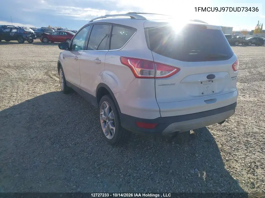 2013 FORD ESCAPE VIN 1FMCU9J97DUD73436 — фото 3