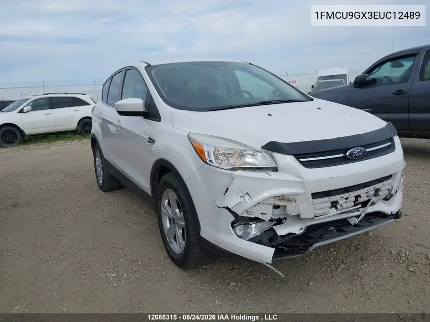 FORD ESCAPE 2014, VIN 1FMCU9GX3EUC12489