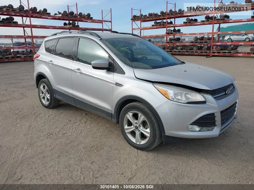 FORD ESCAPE 2014, VIN 1FMCU9G95EUA00811