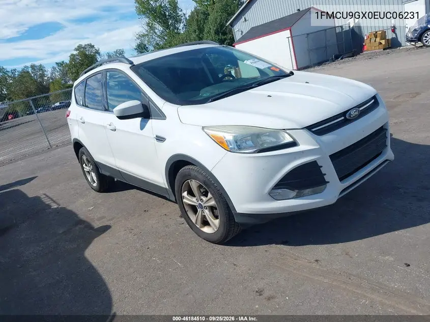FORD ESCAPE 2014, VIN 1FMCU9GX0EUC06231