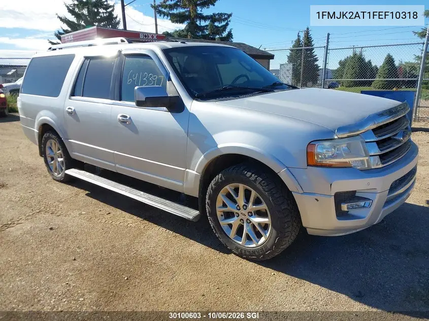 FORD EXPEDITION 2015, VIN 1FMJK2AT1FEF10318
