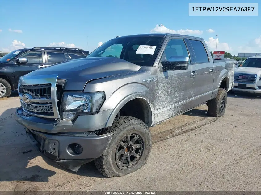 2009 FORD F-150 VIN 1FTPW12V29FA76387 — фото 2