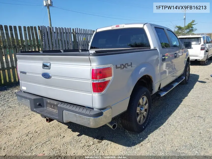 2009 FORD F-150 VIN 1FTPW14VX9FB16213 — фото 4