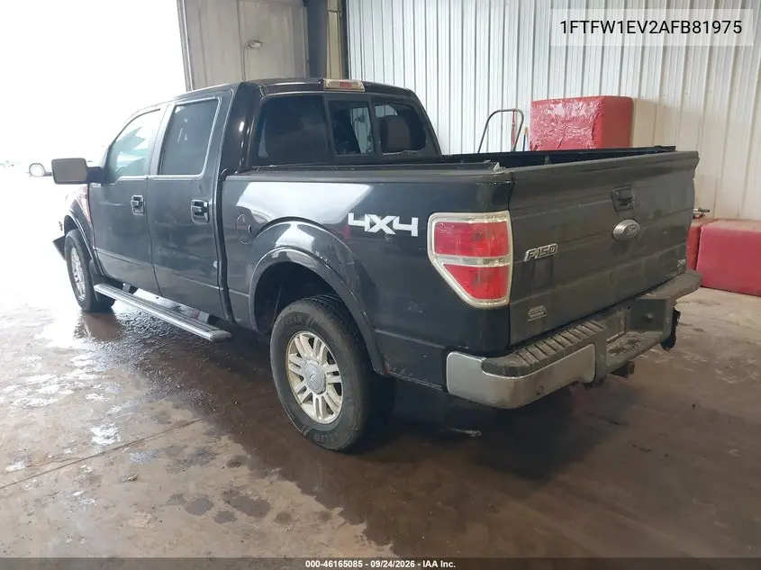 2010 FORD F-150 VIN 1FTFW1EV2AFB81975 — фото 3