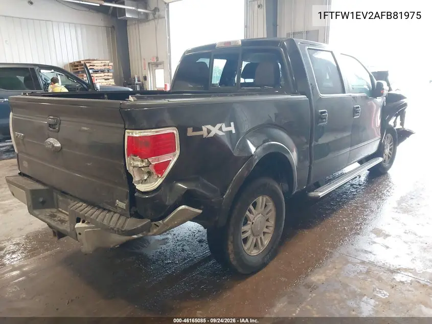 2010 FORD F-150 VIN 1FTFW1EV2AFB81975 — фото 4
