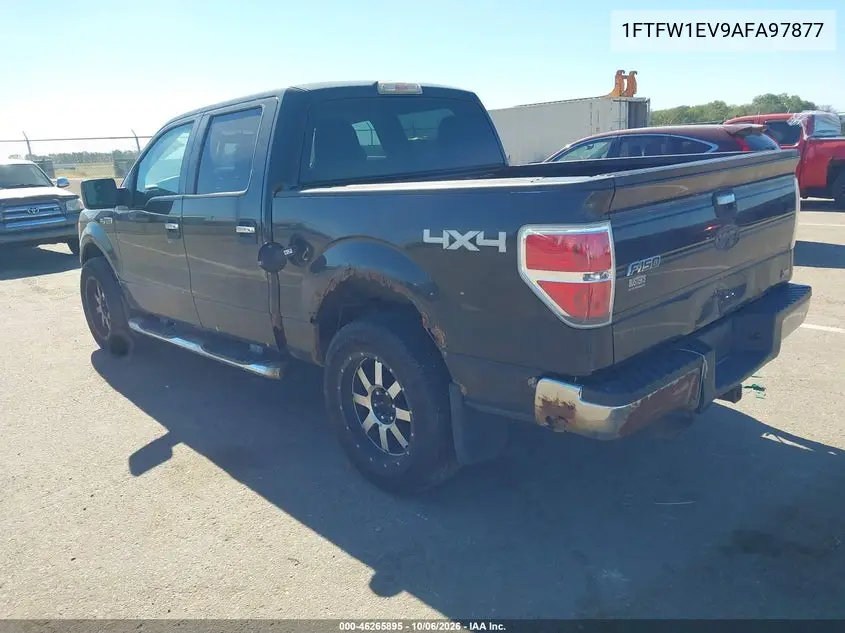 2010 FORD F-150 VIN 1FTFW1EV9AFA97877 — фото 3