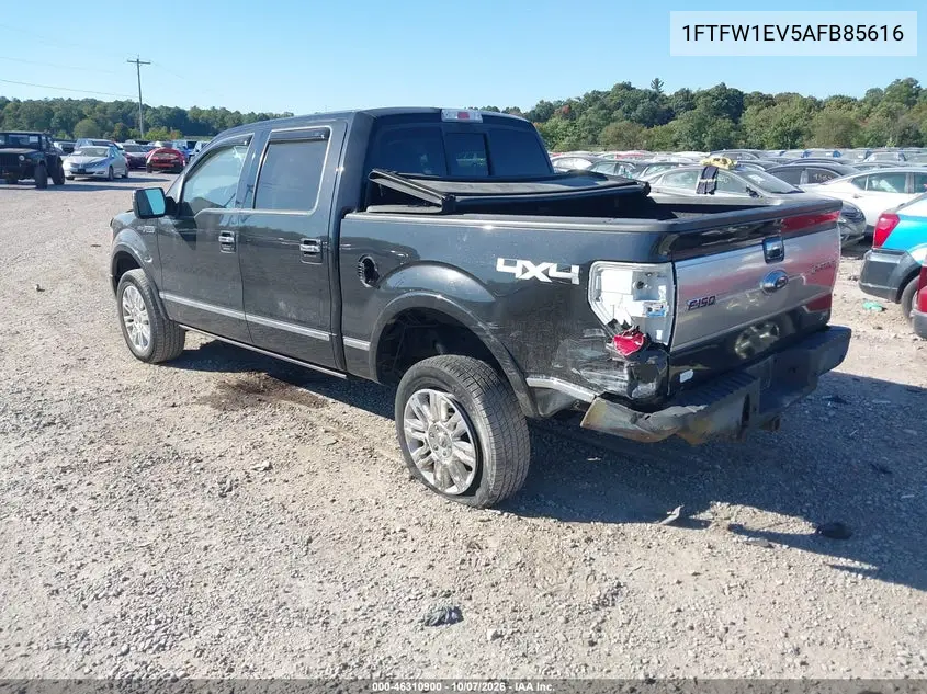 2010 FORD F-150 VIN 1FTFW1EV5AFB85616 — фото 3